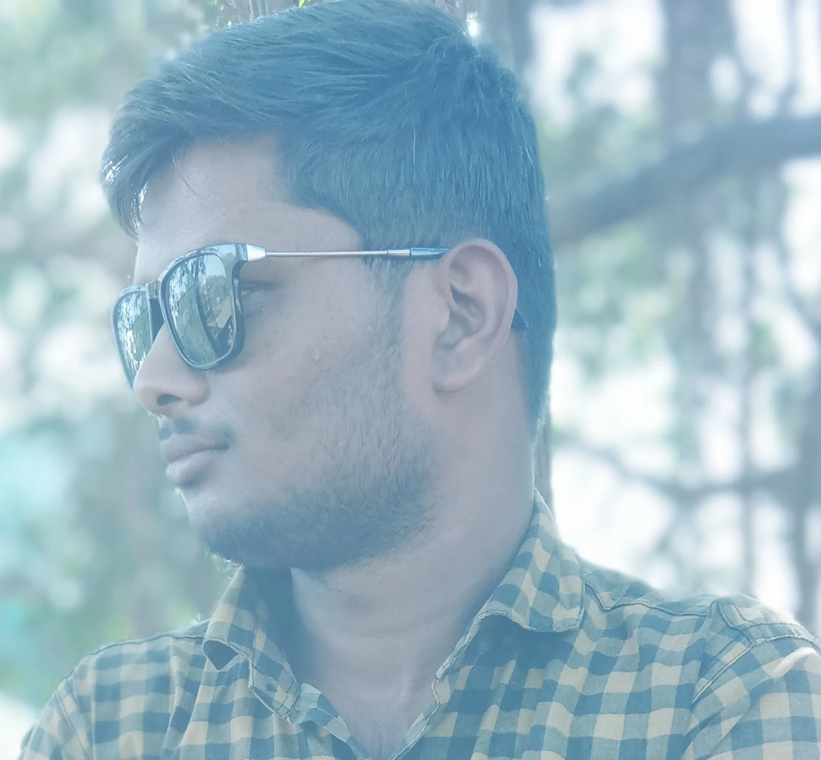 Profile